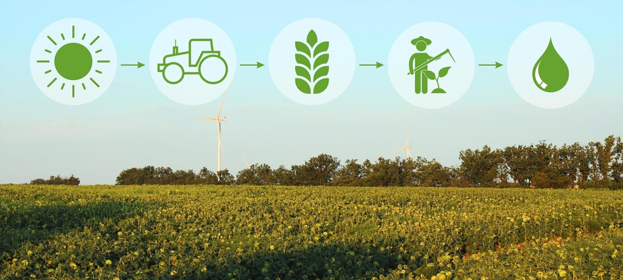 Green Innovation